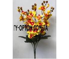 Орхидея высокая 5 ка новая не пресс, , 121.00 грн, 1245, , БОЛЬШИЕ БУКЕТЫ